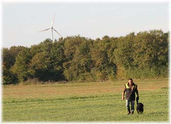 Elevage du CLOS DE LA LUETTE - COPYRIGHT DEPOSE